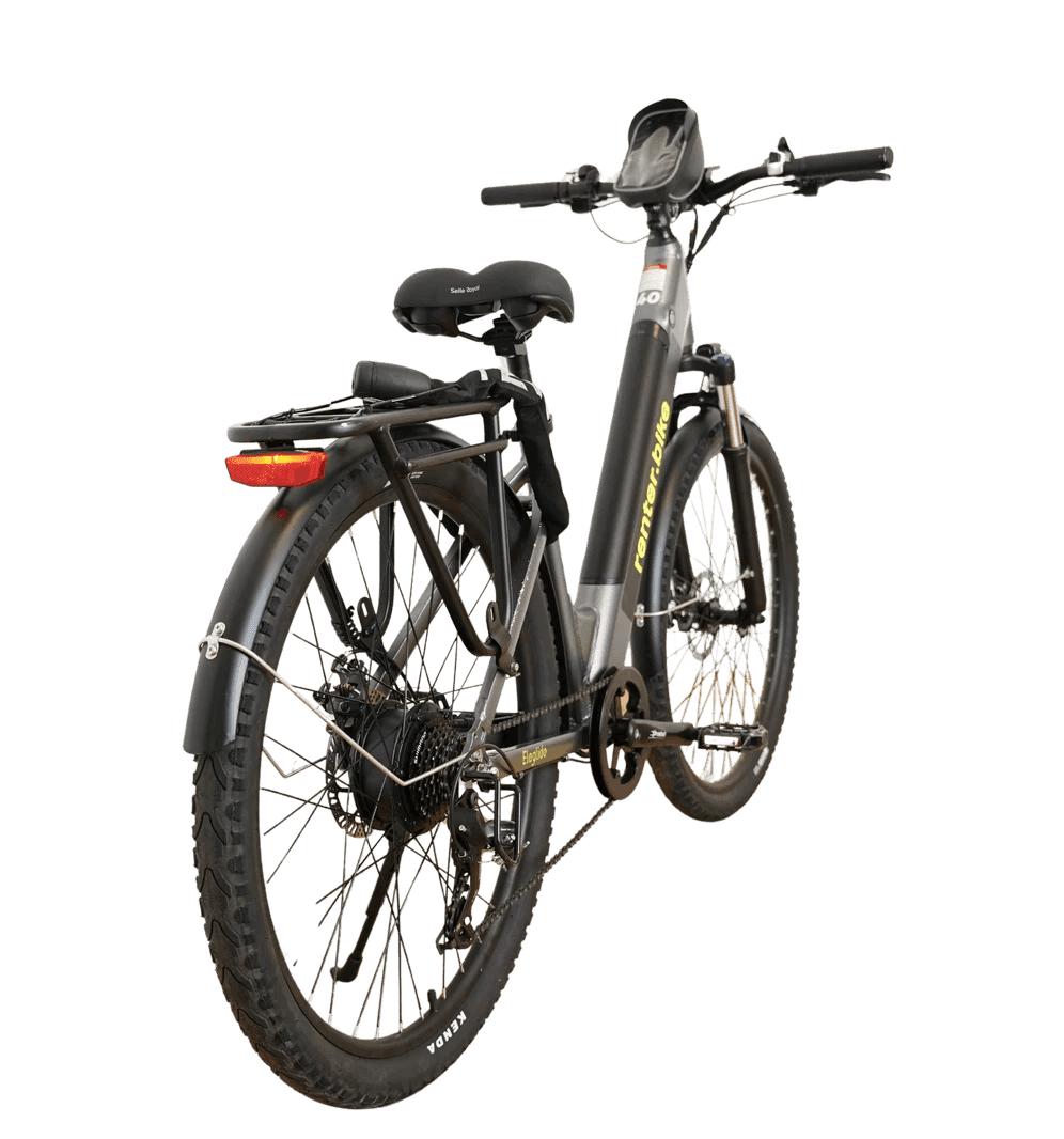 Renter T1 electric bike seen from the rear